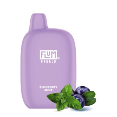 Одноразовый POD FLUM Pebble 6000 - Blueberry Mint