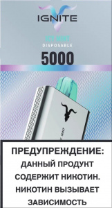 Одноразовый Pod IGNITE 5000 V5 - Ice Mint