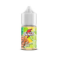 Жидкость BLAZE Salt - Lime Pineapple Blend